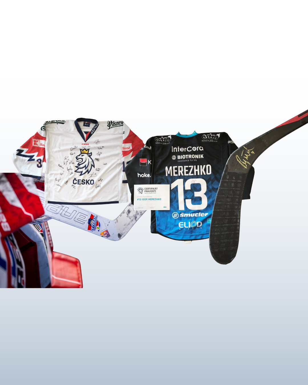 Ve 4. charitativní aukci se vydražily sportovní předměty za celkem 46 tisíc korun!